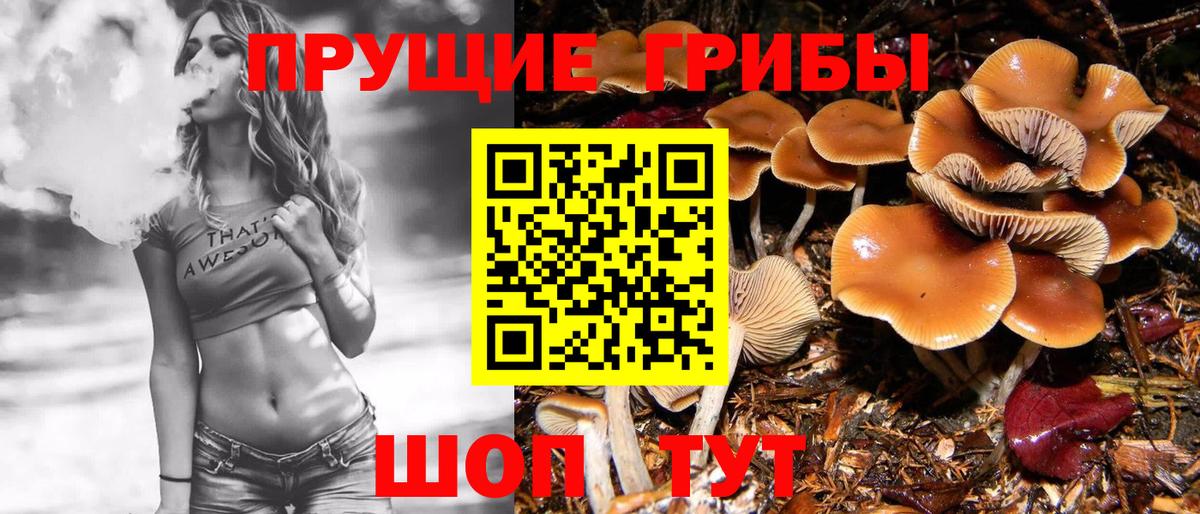 Галлюциногенные грибы прущие грибы  купить  сайты  Галлюциногенные грибы Psilocybe  Севастополь  Вход с VPN 